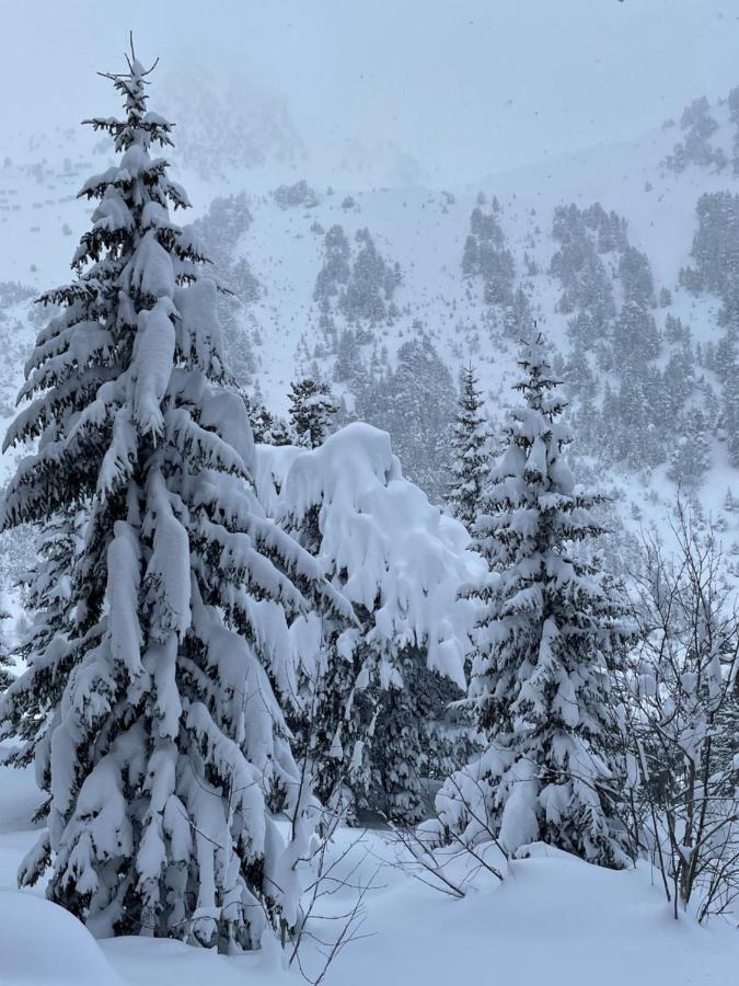 Spacious Ski-In Ski-Out Apartment 4-6 Pax, 161 Sources De Marie Arc 1950 Les Arcs  Екстер'єр фото